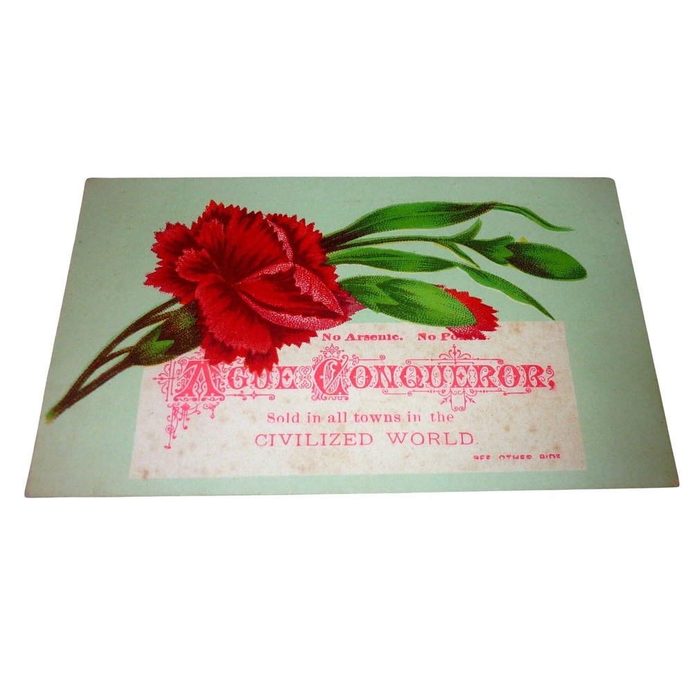 Victorian Trade Card Boschee's German Syrup Green's August Flower Cassville NJ